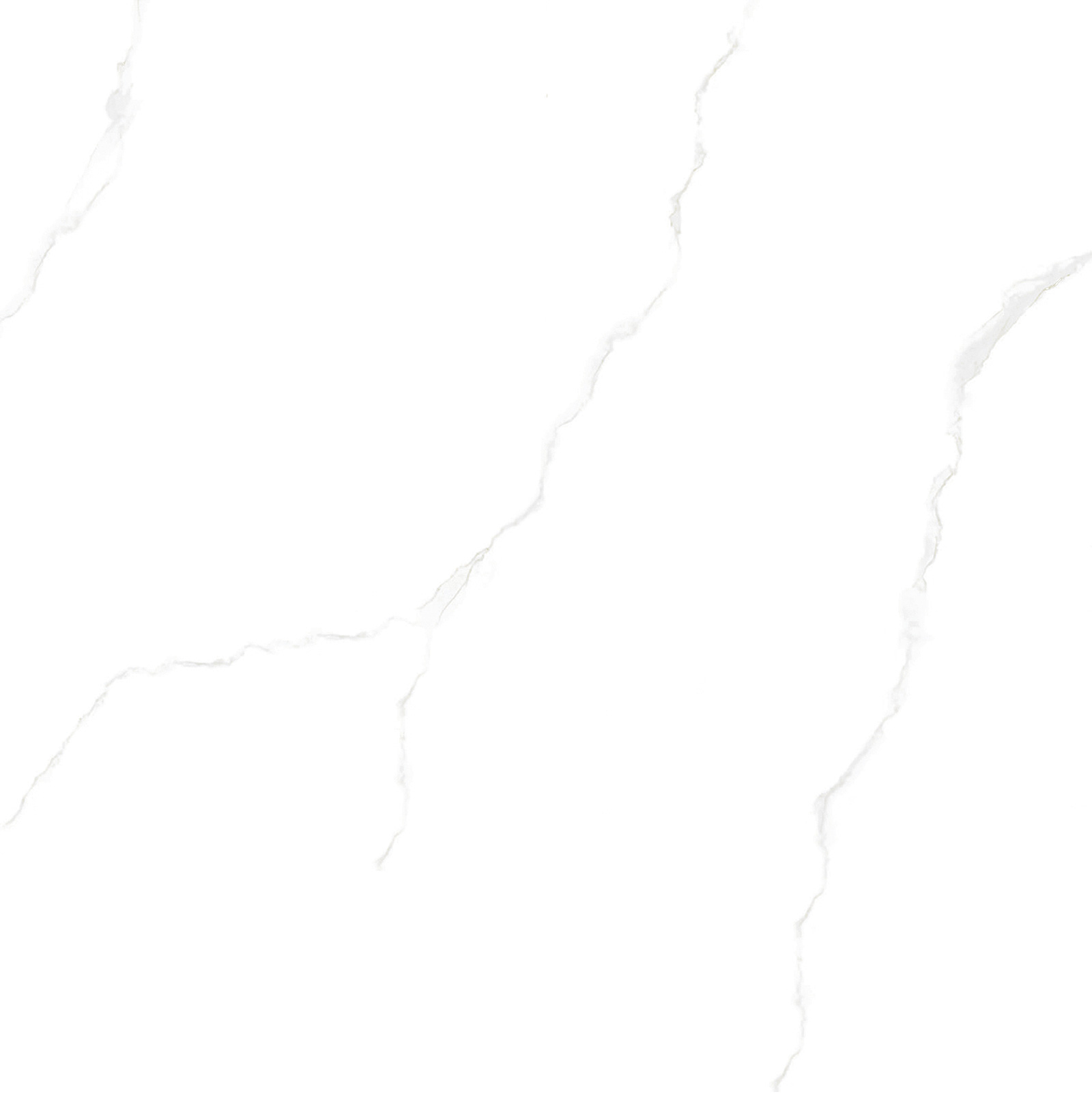 Mã số DT6001
