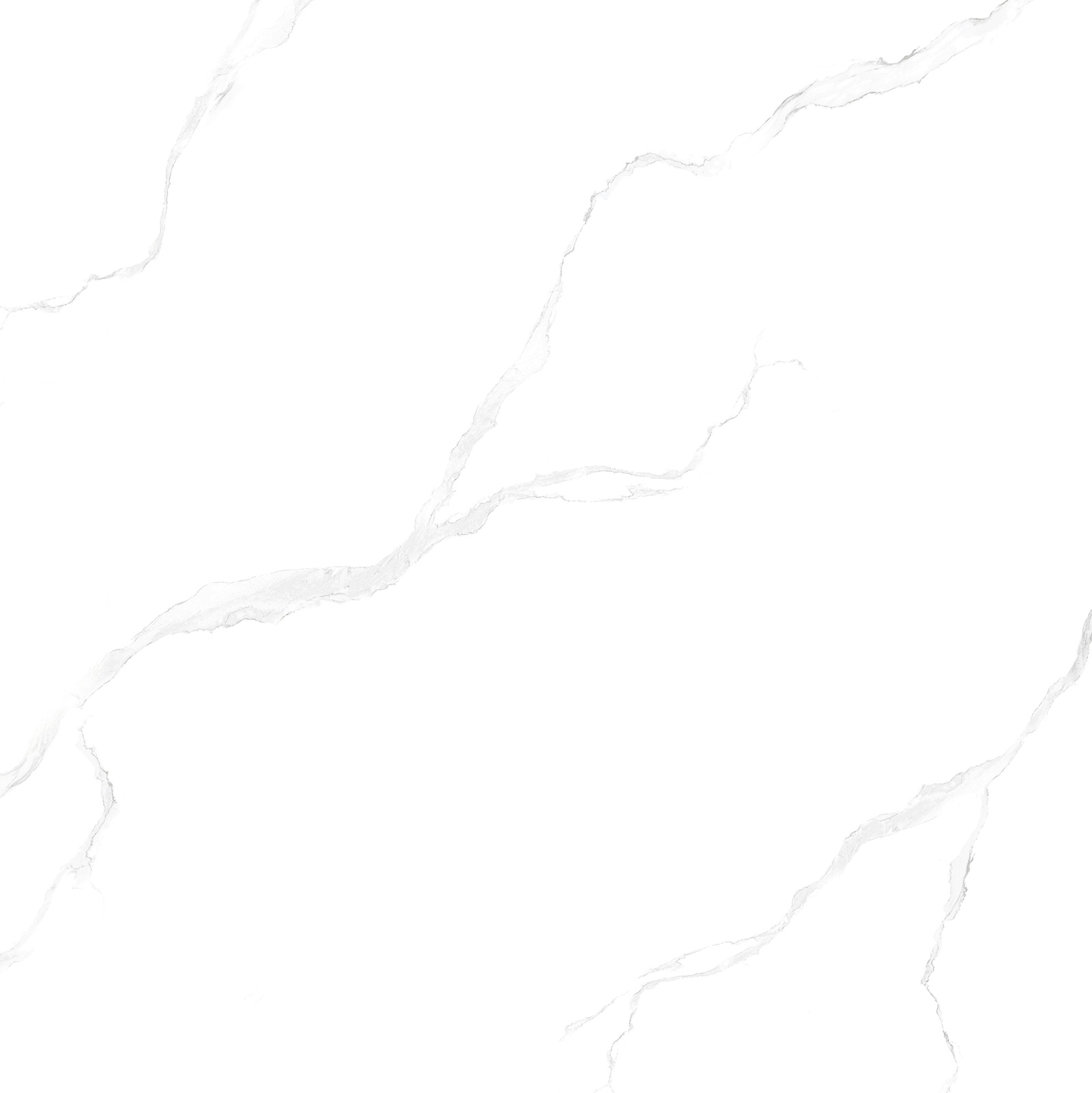 Mã số DT6010